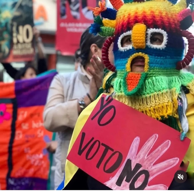 In the foreground of this photograph is a person wearing a colorful and highly stylized mask of knitted or crocheted yarn and holding a sign that says "yo voto no".