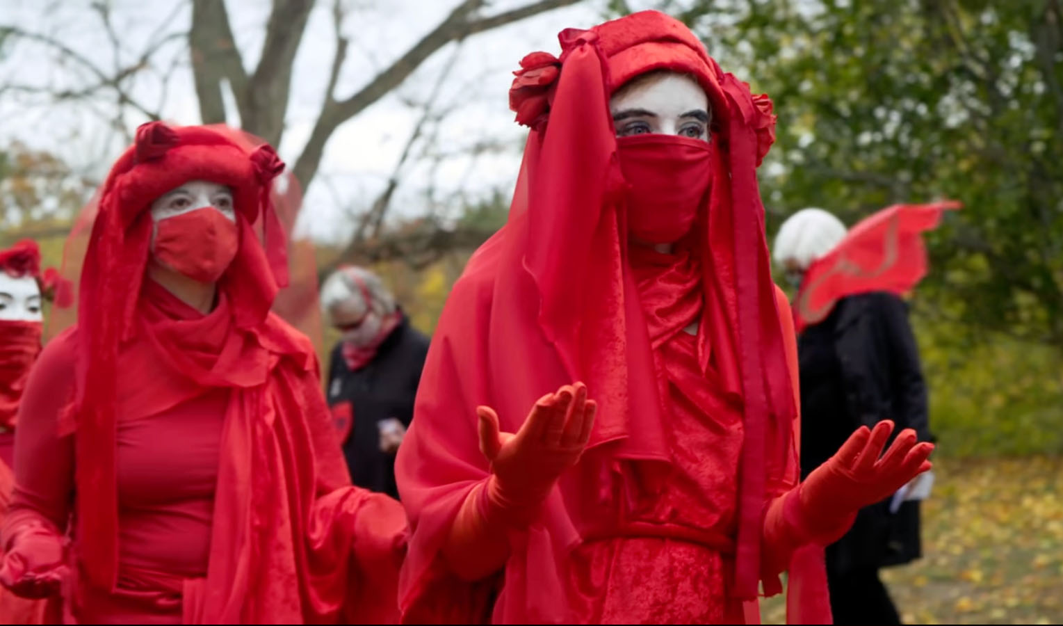 An image of two Red
Rebels from a short film directed by Jonathan Schwartz of CMI (Climate Media
Initiative). Zwei Rote Rebellen gehen vorwärts, Handflächen nachoben.
