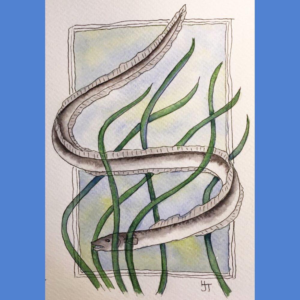 The European Eel -
one of millions of species facing extinction
