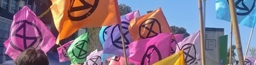 Флаги Extinction Rebellion