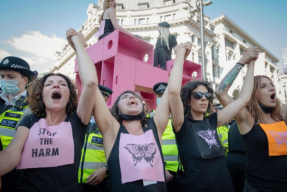 Global Newsletter #55: Power to the People! Rebellion Returns!