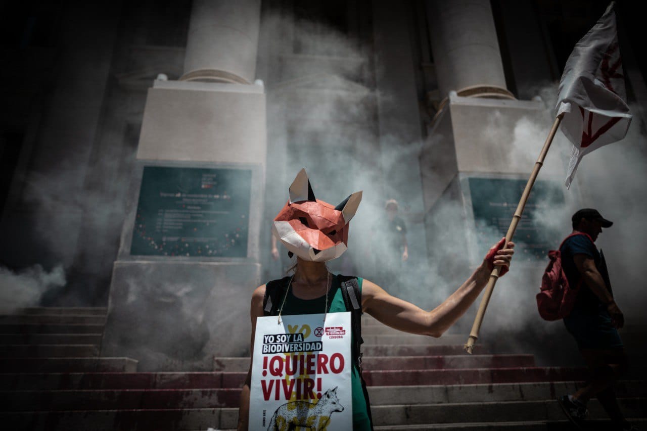 Global Newsletter #72: We Are The 96%
