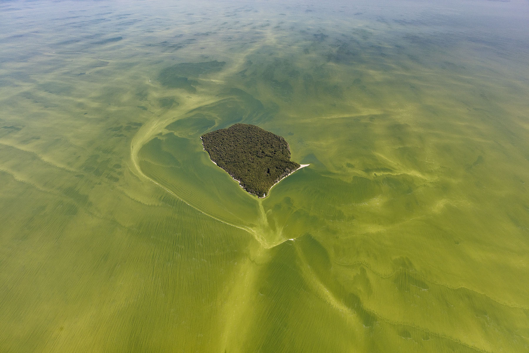 The Poisoning Of Lake Erie: A Case for Granting Rights to Nature